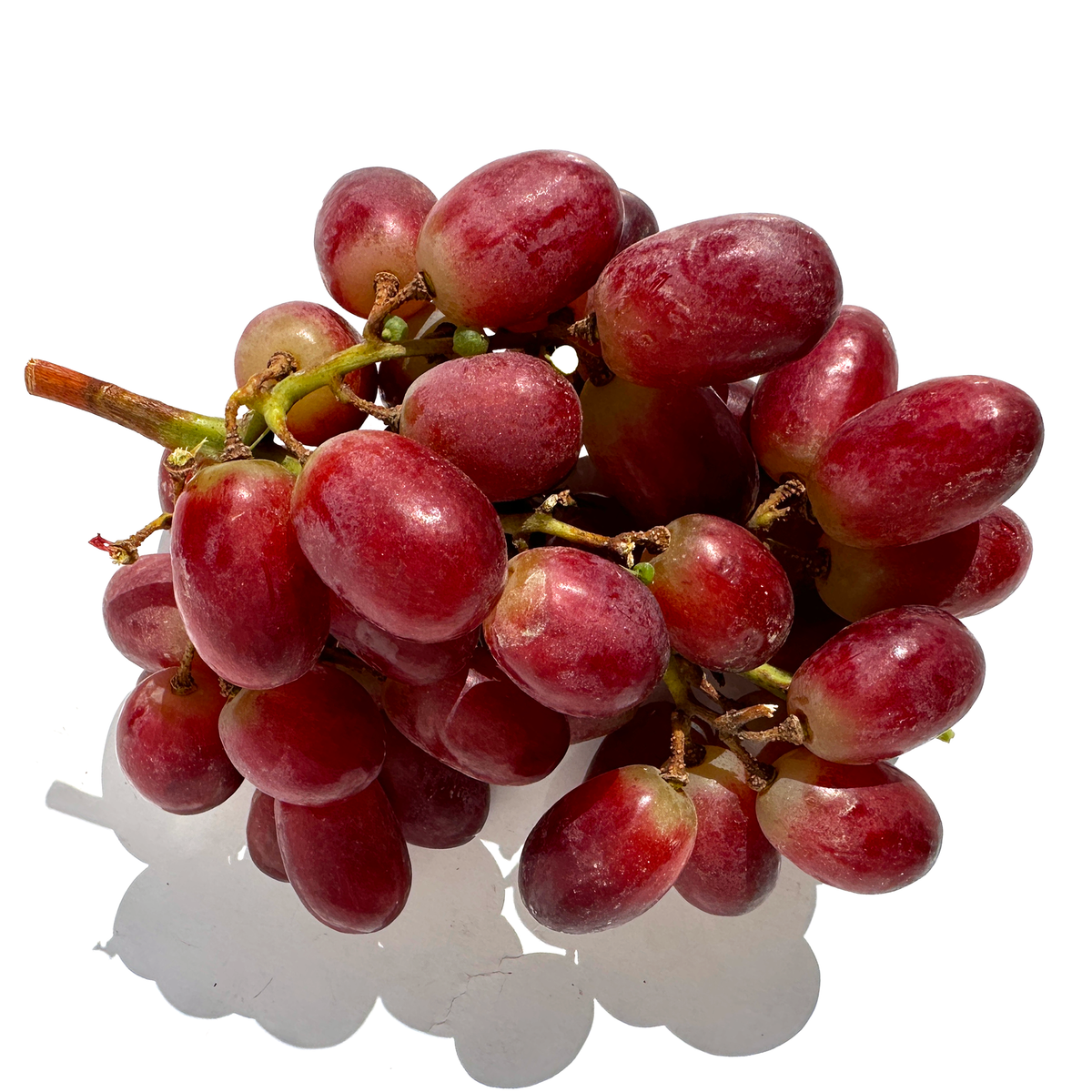 Red Seedless Grape – New Global Group