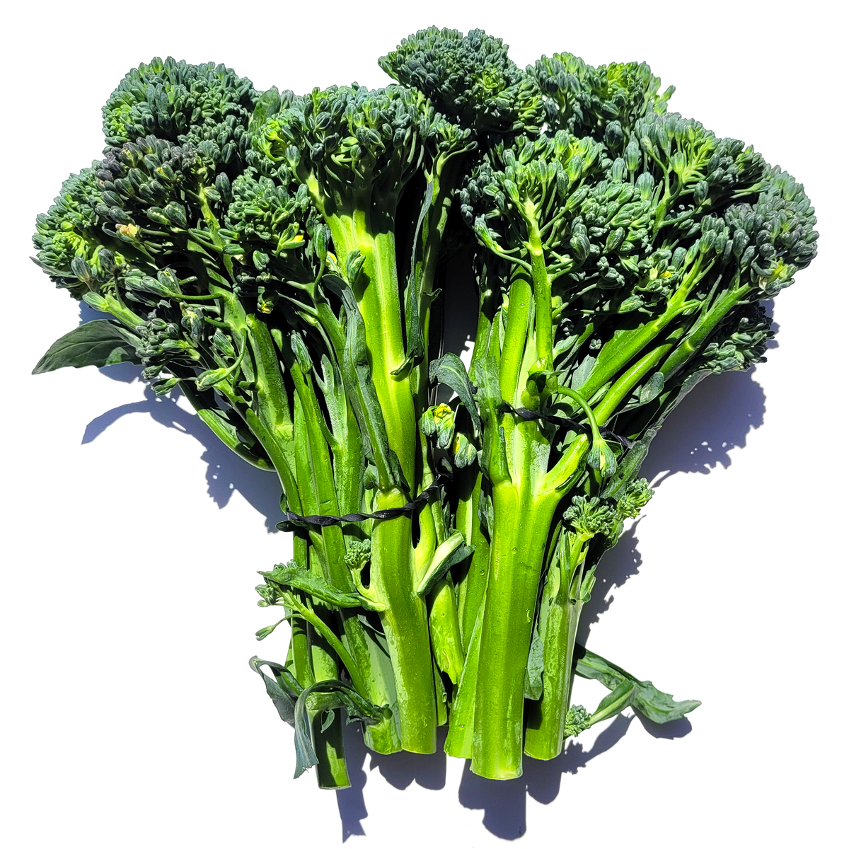Broccolini (Sweet Baby Broccoli) 1 Bunch Asian Veggies