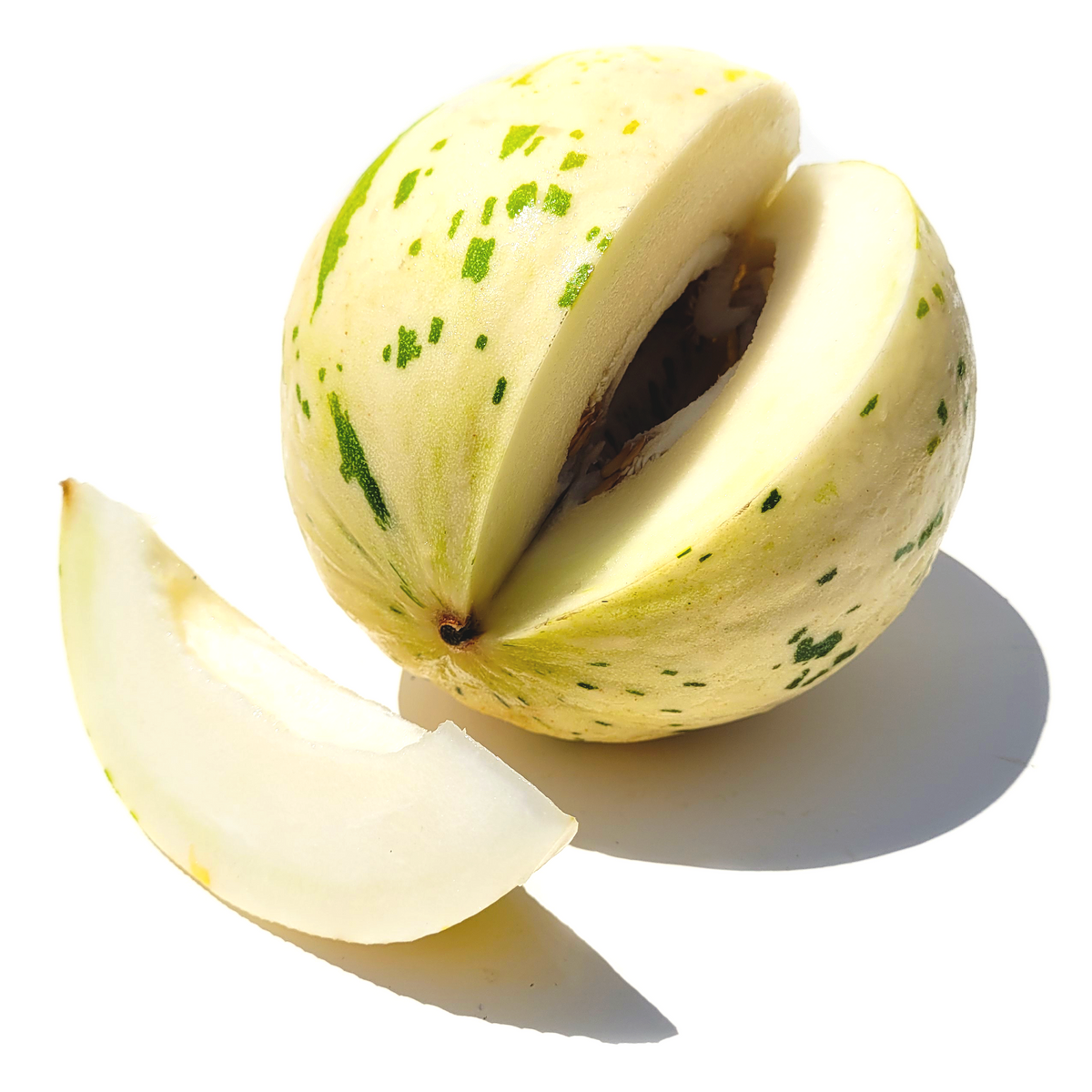 picassomelon_1200x1200.png?v=