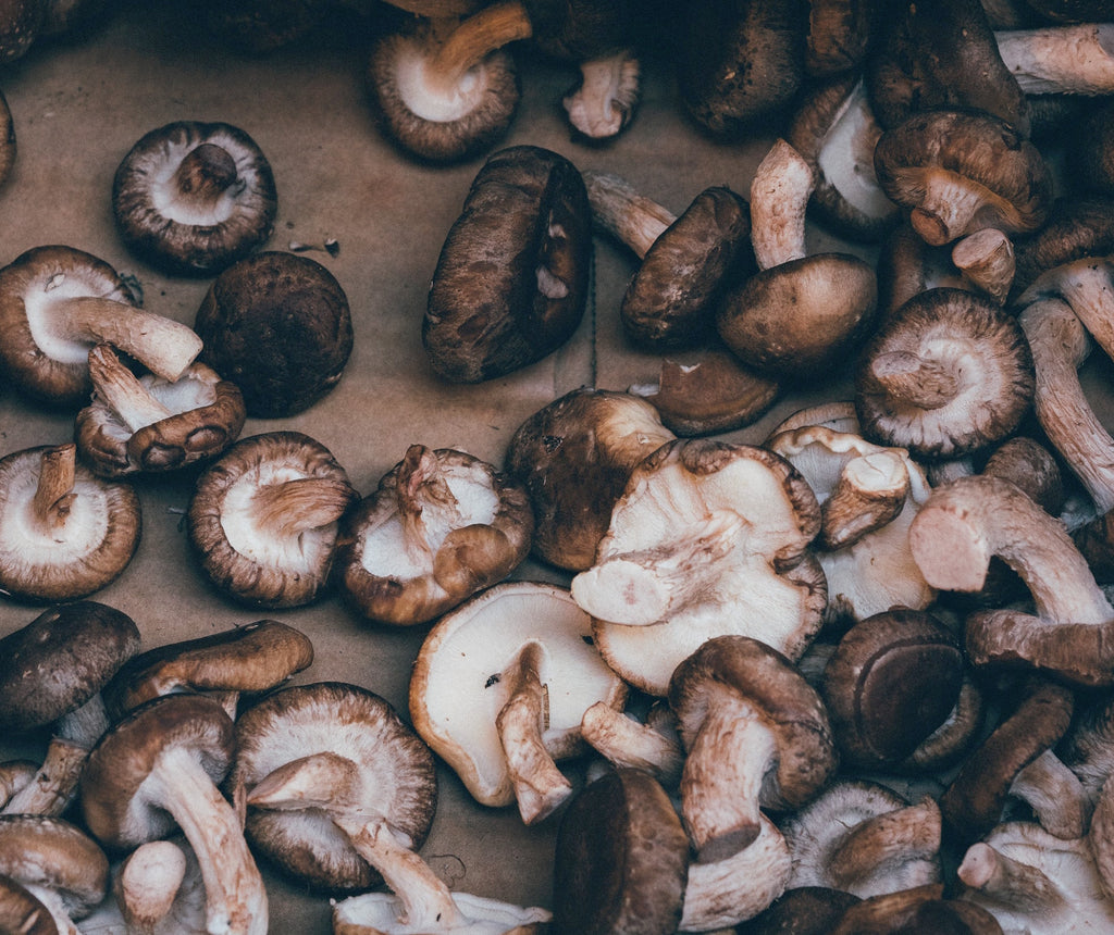 Veggie of the Week: Shiitake Mushrooms