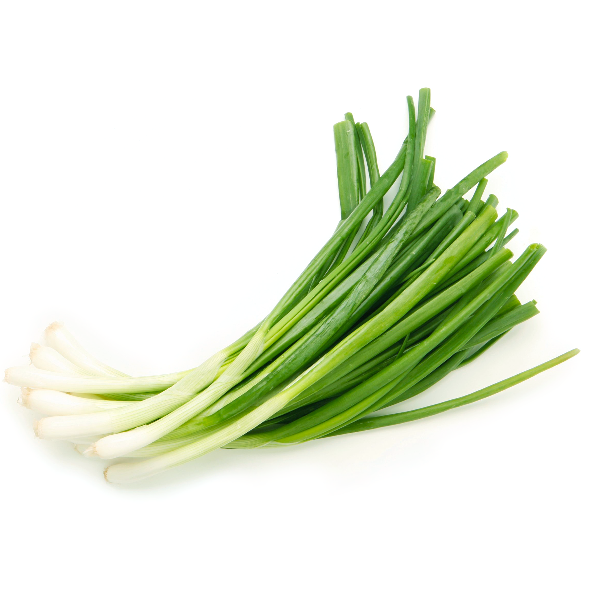 Scallion (Green Onion) - 2 Bunches (青葱) – Asian Veggies