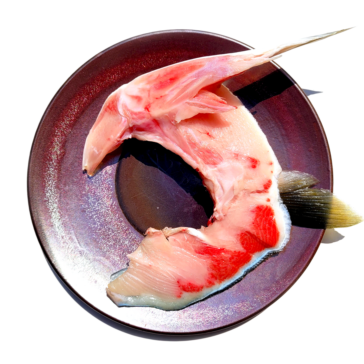 Hawatchi Hamachi Kama Collar : Hamachi Kama RecipeHamachi Kama Recipe – XJGO