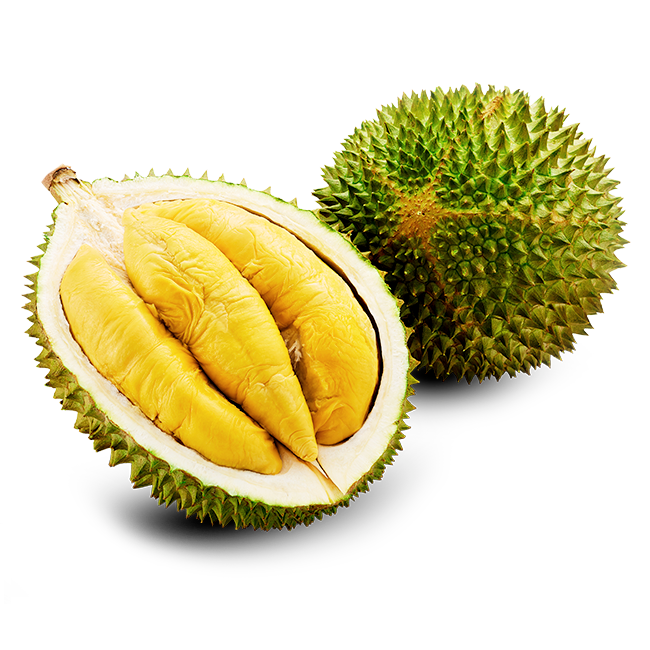 Musang online king durian