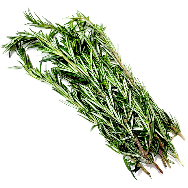 Rosemary - 2 oz – Asian Veggies Rosemary - 2 oz – Asian Veggies