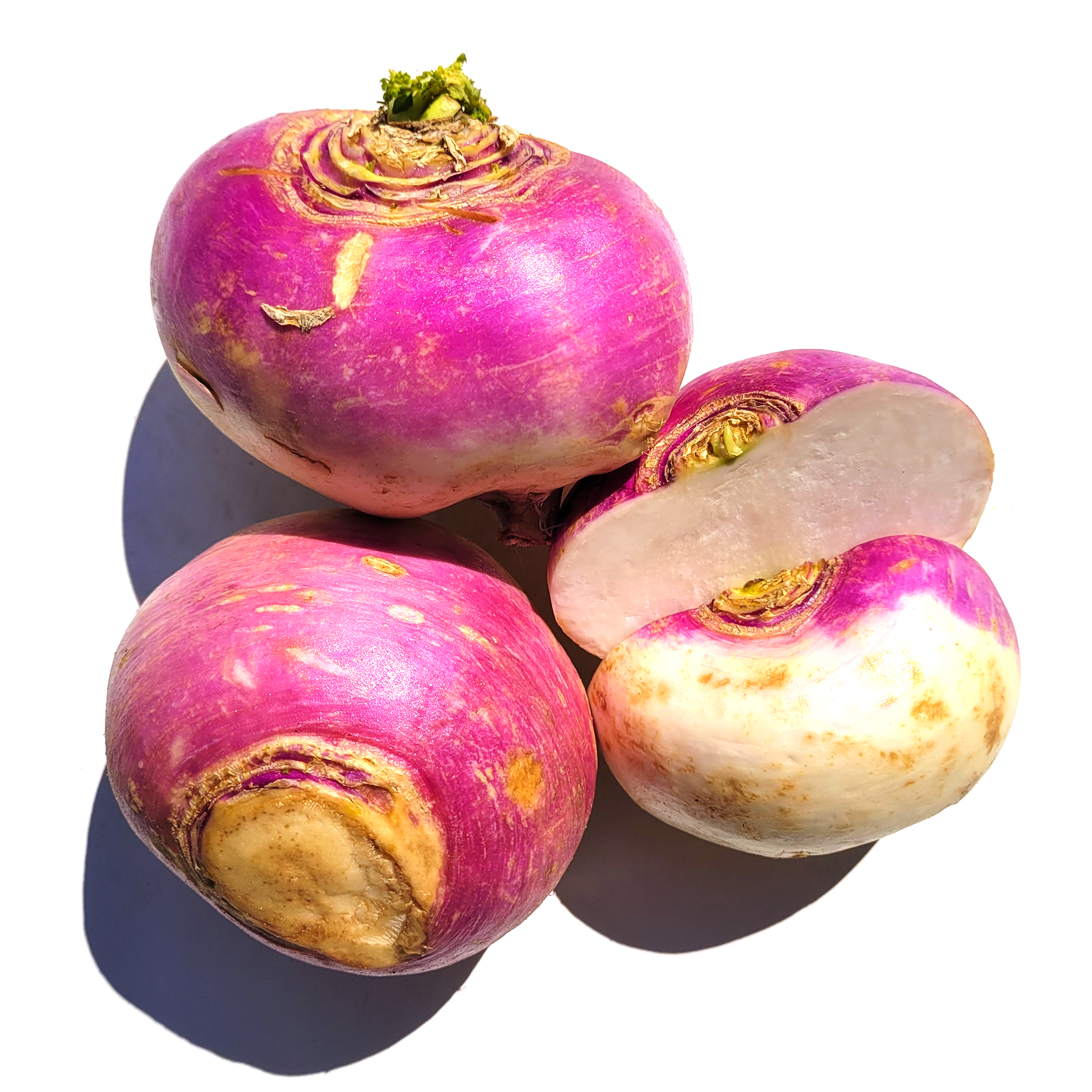 Turnip Cpu Turnip